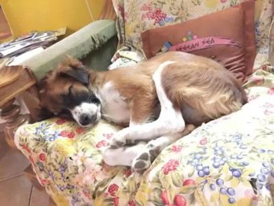 Shkodra Backpackers Hostel - Mi Casa Es Tu Casa - 0