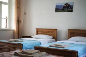 Nazy's Guest House, K'vemo Alvani