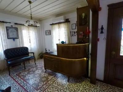 Tas Bahce Cunda - 1