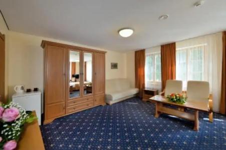 Rehabilitation Centre & SPA Draugystės sanatorija - 2