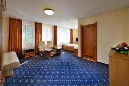 Rehabilitation Centre & SPA Draugystės sanatorija - 3