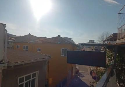 Buyukada Cinar - 161