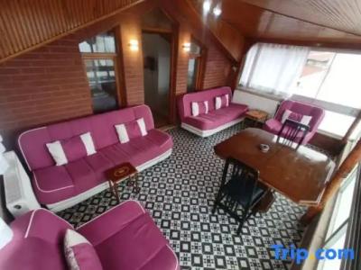 Buyukada Cinar - 173