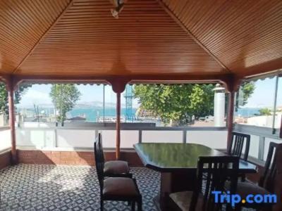 Buyukada Cinar - 176