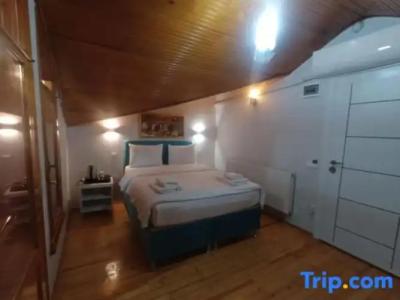 Buyukada Cinar - 171