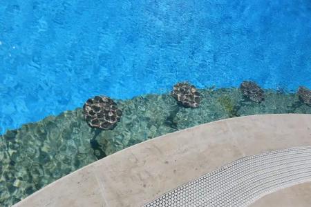 Shimal Panaroma - 13