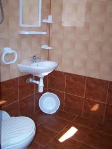 The Sunflowers Guest House - 43