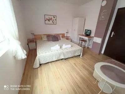 The Sunflowers Guest House - 17