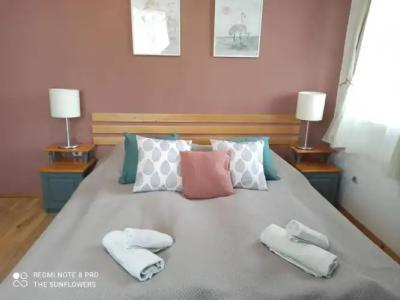 The Sunflowers Guest House - 19