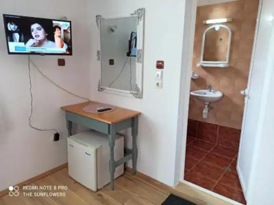 The Sunflowers Guest House - 18