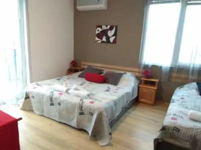 The Sunflowers Guest House - 2