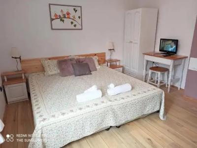 The Sunflowers Guest House - 23