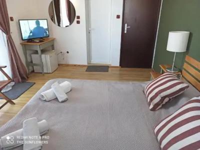 The Sunflowers Guest House - 34