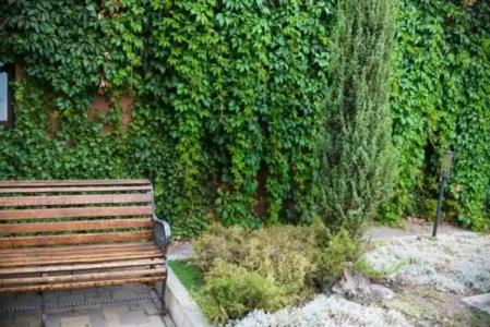 Hotel-Restaurant Lyube Plus - 11