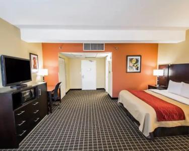 Clarion Inn & Suites Miami International Airport - 3