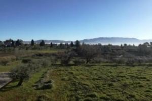 Chez Raz BB, Velletri