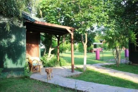 Esralina Pansiyon - 35