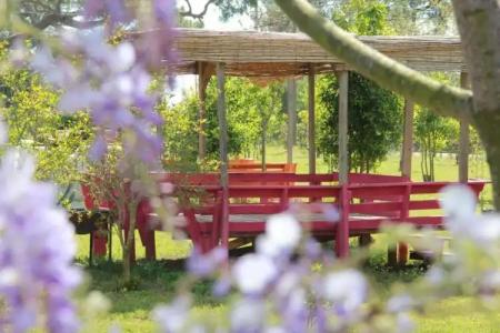 Esralina Pansiyon - 2