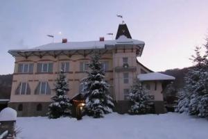Perlyna Krasiyi Mini-hotel, Vyshka