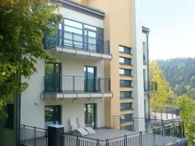 Farys - centrum Krynicy na wzgórzu wśród ciszy ze wspaniałymi tarasami widokowymi, sauna, jacuzzi, siłownia, prywatny parking za darmo dla naszych Gości - 0