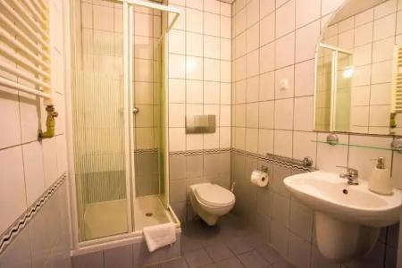 Farys - centrum Krynicy na wzgórzu wśród ciszy ze wspaniałymi tarasami widokowymi, sauna, jacuzzi, siłownia, prywatny parking za darmo dla naszych Gości - 9