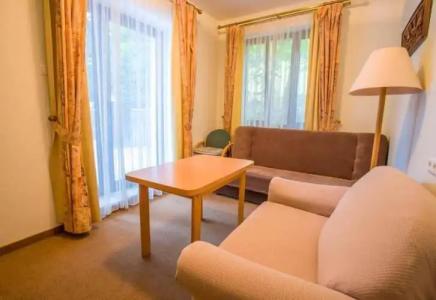 Farys - centrum Krynicy na wzgórzu wśród ciszy ze wspaniałymi tarasami widokowymi, sauna, jacuzzi, siłownia, prywatny parking za darmo dla naszych Gości - 83