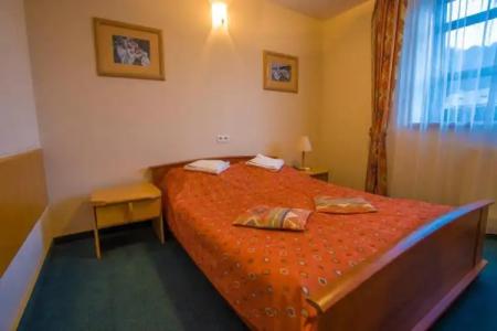 Farys - centrum Krynicy na wzgórzu wśród ciszy ze wspaniałymi tarasami widokowymi, sauna, jacuzzi, siłownia, prywatny parking za darmo dla naszych Gości - 56