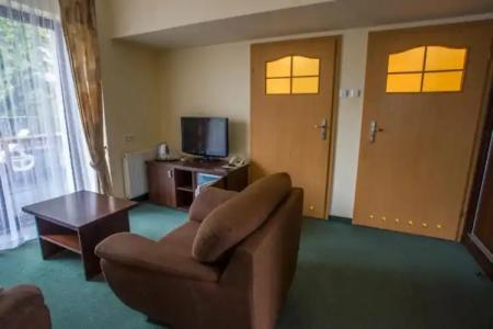 Farys - centrum Krynicy na wzgórzu wśród ciszy ze wspaniałymi tarasami widokowymi, sauna, jacuzzi, siłownia, prywatny parking za darmo dla naszych Gości - 73