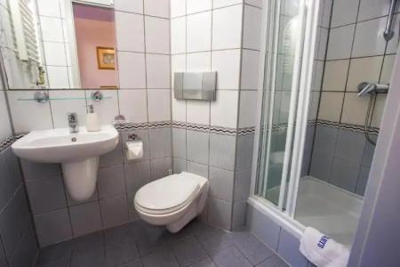Farys - centrum Krynicy na wzgórzu wśród ciszy ze wspaniałymi tarasami widokowymi, sauna, jacuzzi, siłownia, prywatny parking za darmo dla naszych Gości - 32