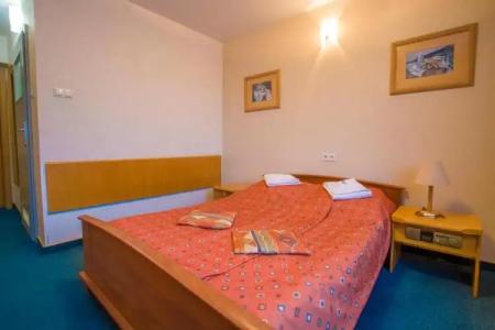 Farys - centrum Krynicy na wzgórzu wśród ciszy ze wspaniałymi tarasami widokowymi, sauna, jacuzzi, siłownia, prywatny parking za darmo dla naszych Gości - 55