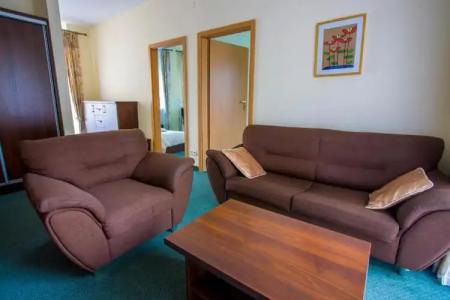 Farys - centrum Krynicy na wzgórzu wśród ciszy ze wspaniałymi tarasami widokowymi, sauna, jacuzzi, siłownia, prywatny parking za darmo dla naszych Gości - 71