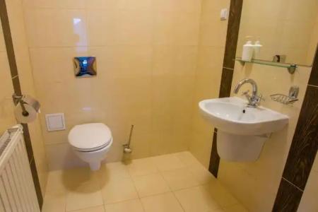 Farys - centrum Krynicy na wzgórzu wśród ciszy ze wspaniałymi tarasami widokowymi, sauna, jacuzzi, siłownia, prywatny parking za darmo dla naszych Gości - 69