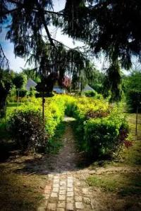 Vacation Home Prigodichi - 2