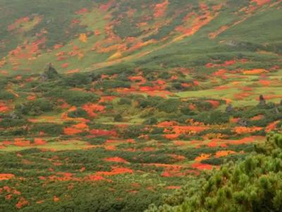 Asahidake Onsen Yumoto Yukomansou - 20