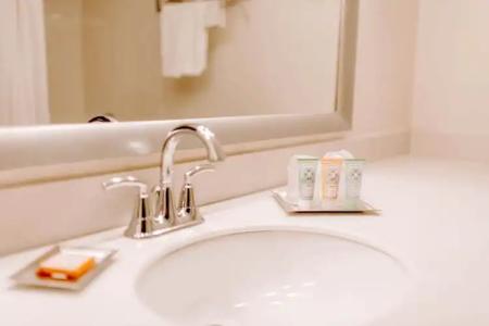 Wyndham Garden Dallas North - 6