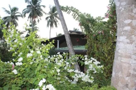 All View Resort - 15