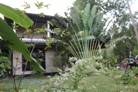 All View Resort - 17