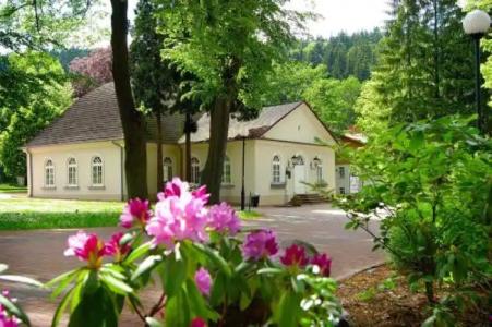 Sanatorium Jan Kazimierz - 19