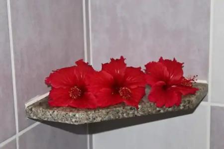 Takamaka Green Village - 81