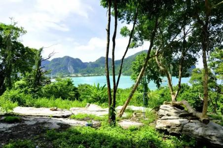 Sea View Bungalow - 39