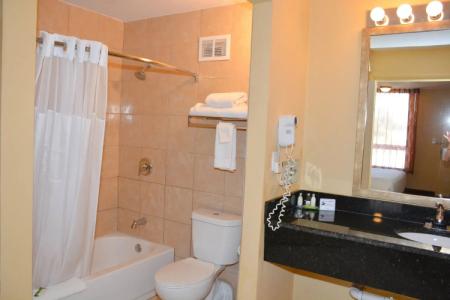 Grand Orlando at Universal Blvd - Shuttle to Theme Parks - 9