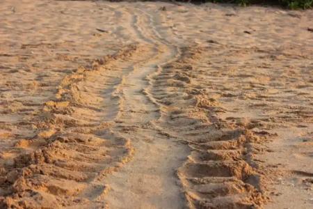 Ananthaya Beach - 10