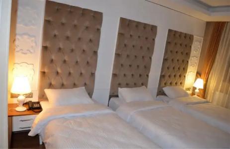 Sarikamis Snowflake Dağ Oteli - 58