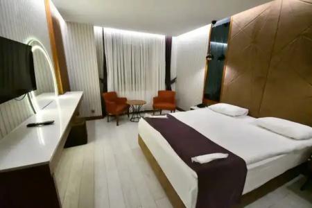 Sarikamis Snowflake Dağ Oteli - 38