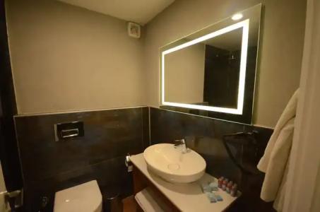 Sarikamis Snowflake Dağ Oteli - 66