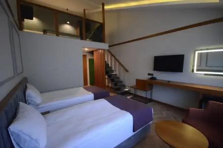 Sarikamis Snowflake Dağ Oteli - 49