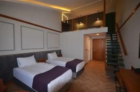 Sarikamis Snowflake Dağ Oteli - 44