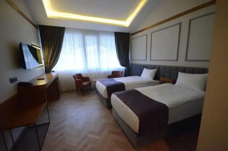 Sarikamis Snowflake Dağ Oteli - 45