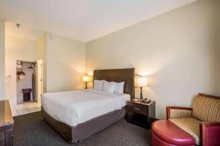 Clarion Inn & Suites Central Clearwater Beach - 72