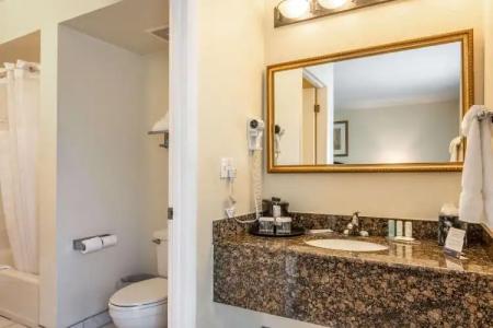 Clarion Inn & Suites Central Clearwater Beach - 16